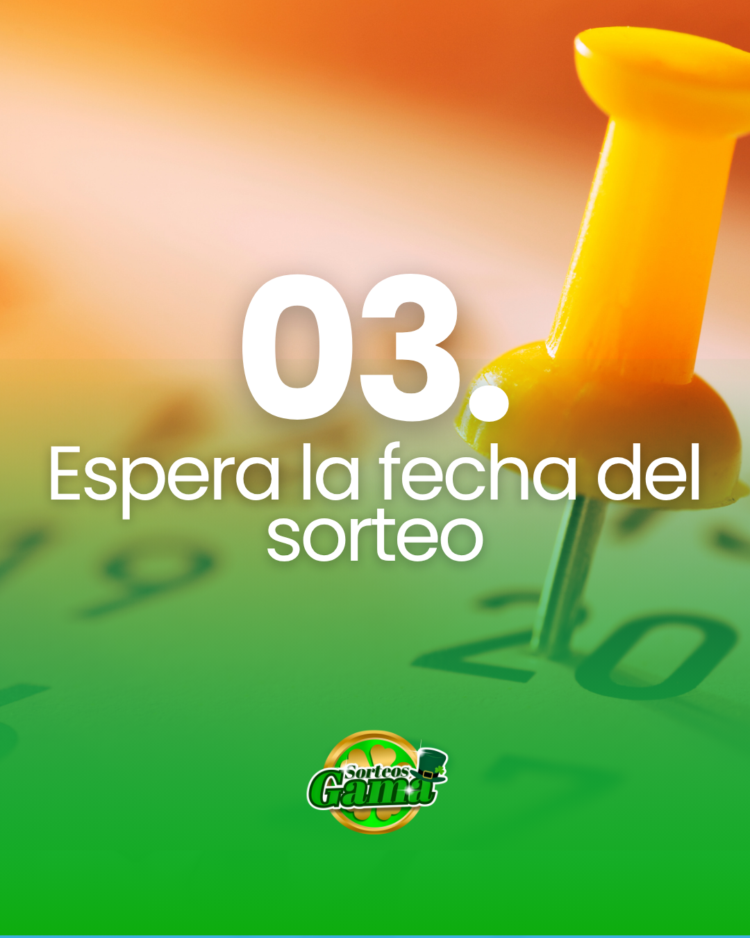 paso 3